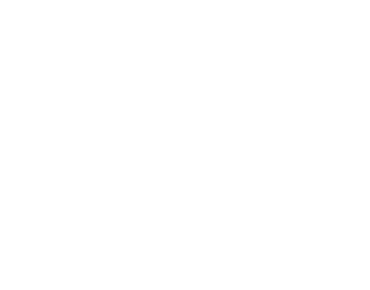 Text: 5 Jahre Lidl Connect!